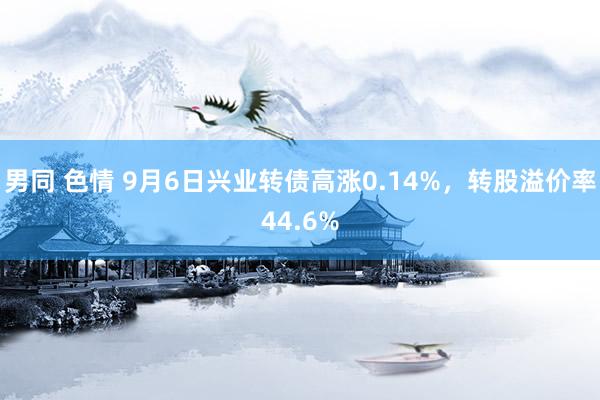 男同 色情 9月6日兴业转债高涨0.14%，转股溢价率44.6%