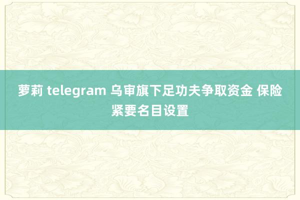 萝莉 telegram 乌审旗下足功夫争取资金 保险紧要名目设置