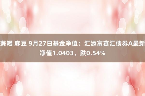 蘇暢 麻豆 9月27日基金净值：汇添富鑫汇债券A最新净值1.0403，跌0.54%