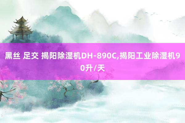 黑丝 足交 揭阳除湿机DH-890C，揭阳工业除湿机90升/天