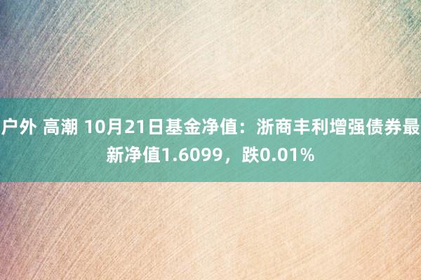 户外 高潮 10月21日基金净值：浙商丰利增强债券最新净值1.6099，跌0.01%