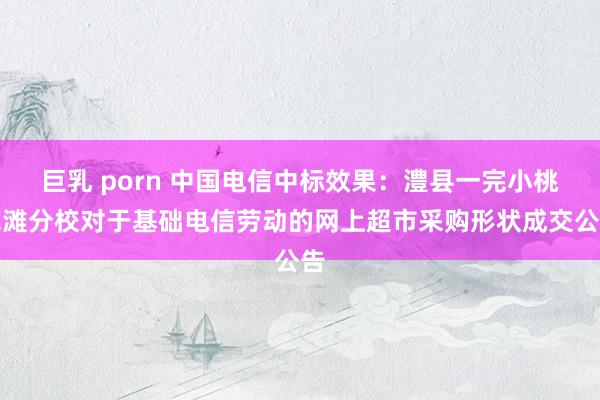 巨乳 porn 中国电信中标效果：澧县一完小桃花滩分校对于基础电信劳动的网上超市采购形状成交公告