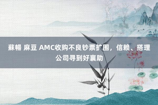 蘇暢 麻豆 AMC收购不良钞票扩围，信赖、搭理公司寻到好襄助