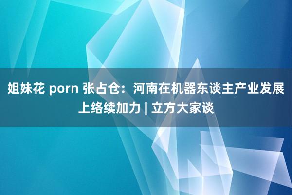 姐妹花 porn 张占仓：河南在机器东谈主产业发展上络续加力 | 立方大家谈