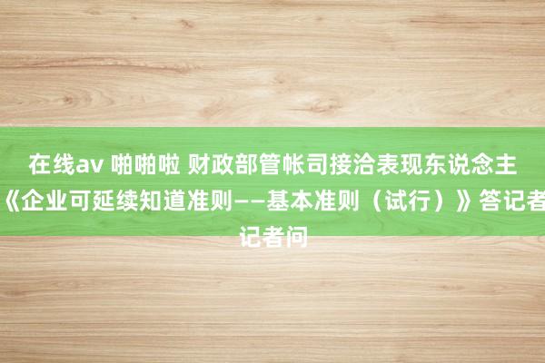 在线av 啪啪啦 财政部管帐司接洽表现东说念主就《企业可延续知道准则——基本准则（试行）》答记者问