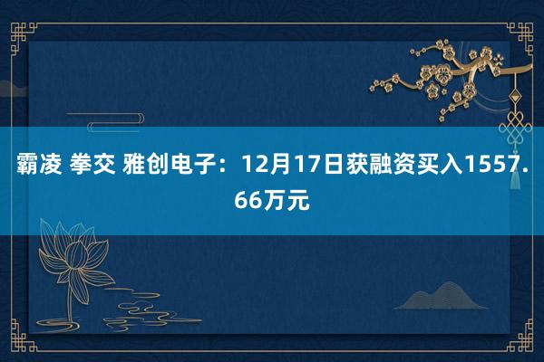 霸凌 拳交 雅创电子：12月17日获融资买入1557.66万元