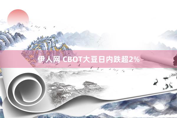 伊人网 CBOT大豆日内跌超2%