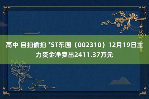 高中 自拍偷拍 *ST东园（002310）12月19日主力资金净卖出2411.37万元