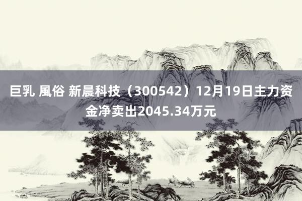 巨乳 風俗 新晨科技（300542）12月19日主力资金净卖出2045.34万元