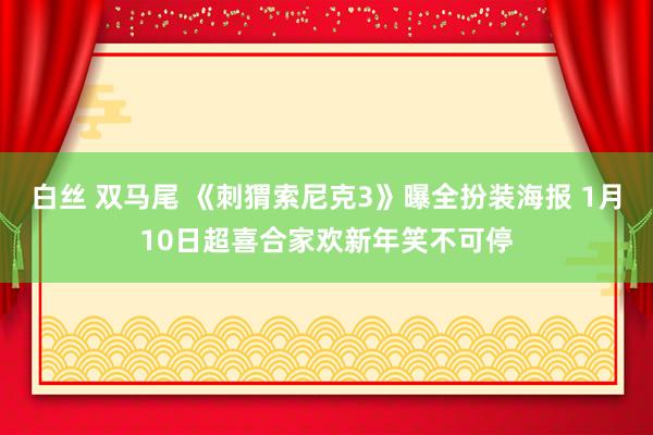 白丝 双马尾 《刺猬索尼克3》曝全扮装海报 1月10日超喜合家欢新年笑不可停