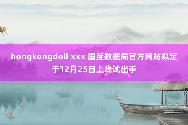 hongkongdoll xxx 国度数据局官方网站拟定于12月25日上线试出手