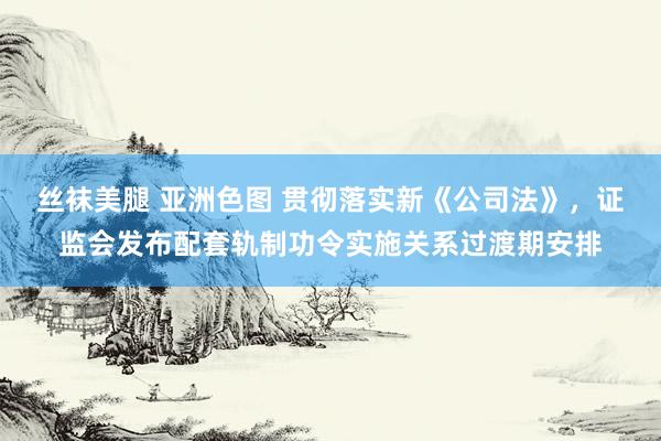 丝袜美腿 亚洲色图 贯彻落实新《公司法》，证监会发布配套轨制功令实施关系过渡期安排