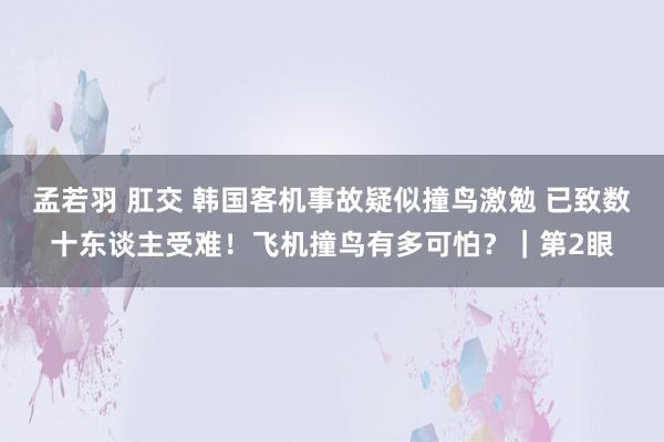 孟若羽 肛交 韩国客机事故疑似撞鸟激勉 已致数十东谈主受难！飞机撞鸟有多可怕？｜第2眼