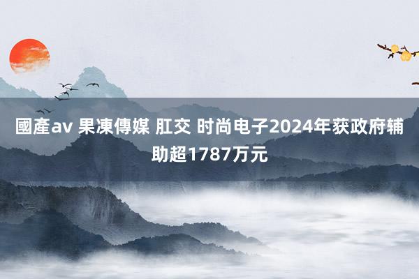 國產av 果凍傳媒 肛交 时尚电子2024年获政府辅助超1787万元