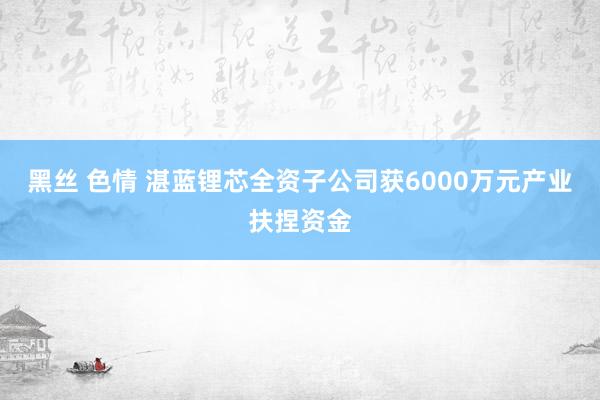 黑丝 色情 湛蓝锂芯全资子公司获6000万元产业扶捏资金