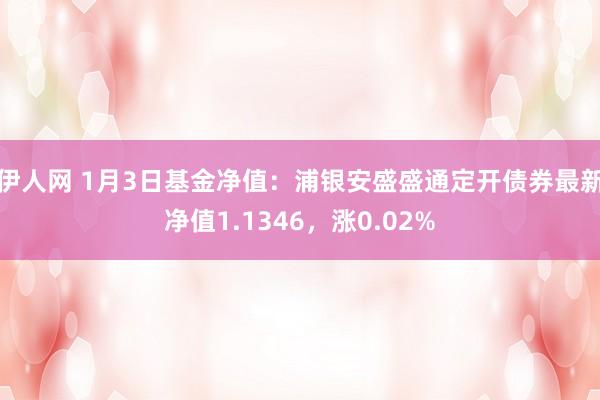 伊人网 1月3日基金净值：浦银安盛盛通定开债券最新净值1.1346，涨0.02%