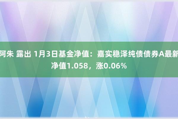 阿朱 露出 1月3日基金净值：嘉实稳泽纯债债券A最新净值1.058，涨0.06%