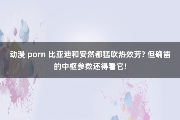 动漫 porn 比亚迪和安然都猛吹热效劳? 但确凿的中枢参数还得看它!