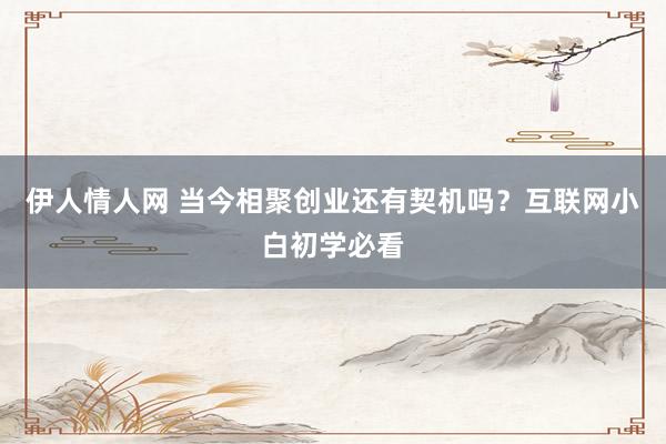 伊人情人网 当今相聚创业还有契机吗？互联网小白初学必看