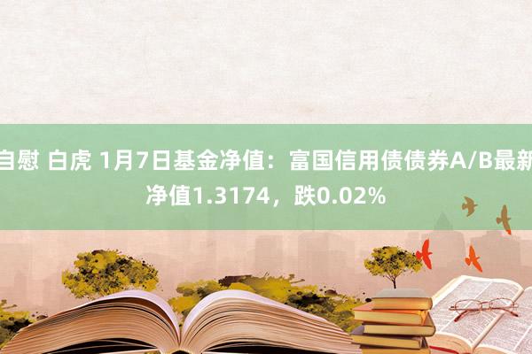 自慰 白虎 1月7日基金净值：富国信用债债券A/B最新净值1.3174，跌0.02%