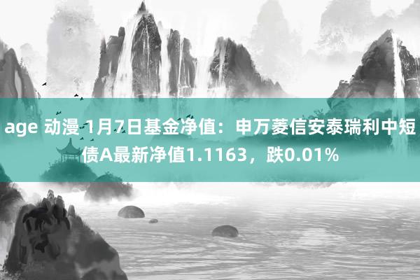 age 动漫 1月7日基金净值：申万菱信安泰瑞利中短债A最新净值1.1163，跌0.01%