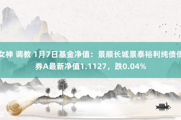 女神 调教 1月7日基金净值：景顺长城景泰裕利纯债债券A最新净值1.1127，跌0.04%