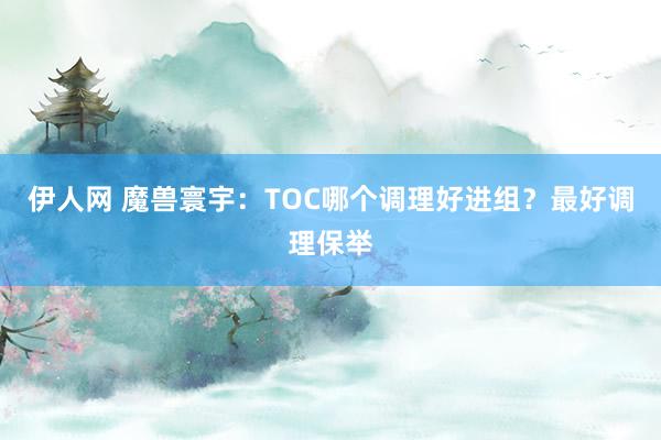 伊人网 魔兽寰宇：TOC哪个调理好进组？最好调理保举