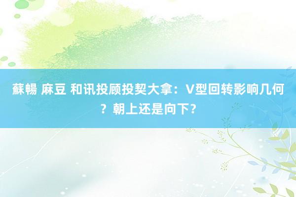 蘇暢 麻豆 和讯投顾投契大拿：V型回转影响几何？朝上还是向下？