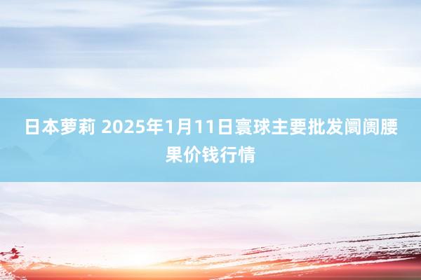 日本萝莉 2025年1月11日寰球主要批发阛阓腰果价钱行情