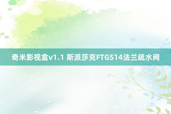 奇米影视盒v1.1 斯派莎克FTGS14法兰疏水阀