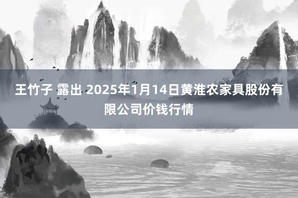 王竹子 露出 2025年1月14日黄淮农家具股份有限公司价钱行情